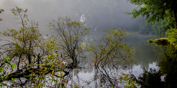 Douce lumière de l'aube