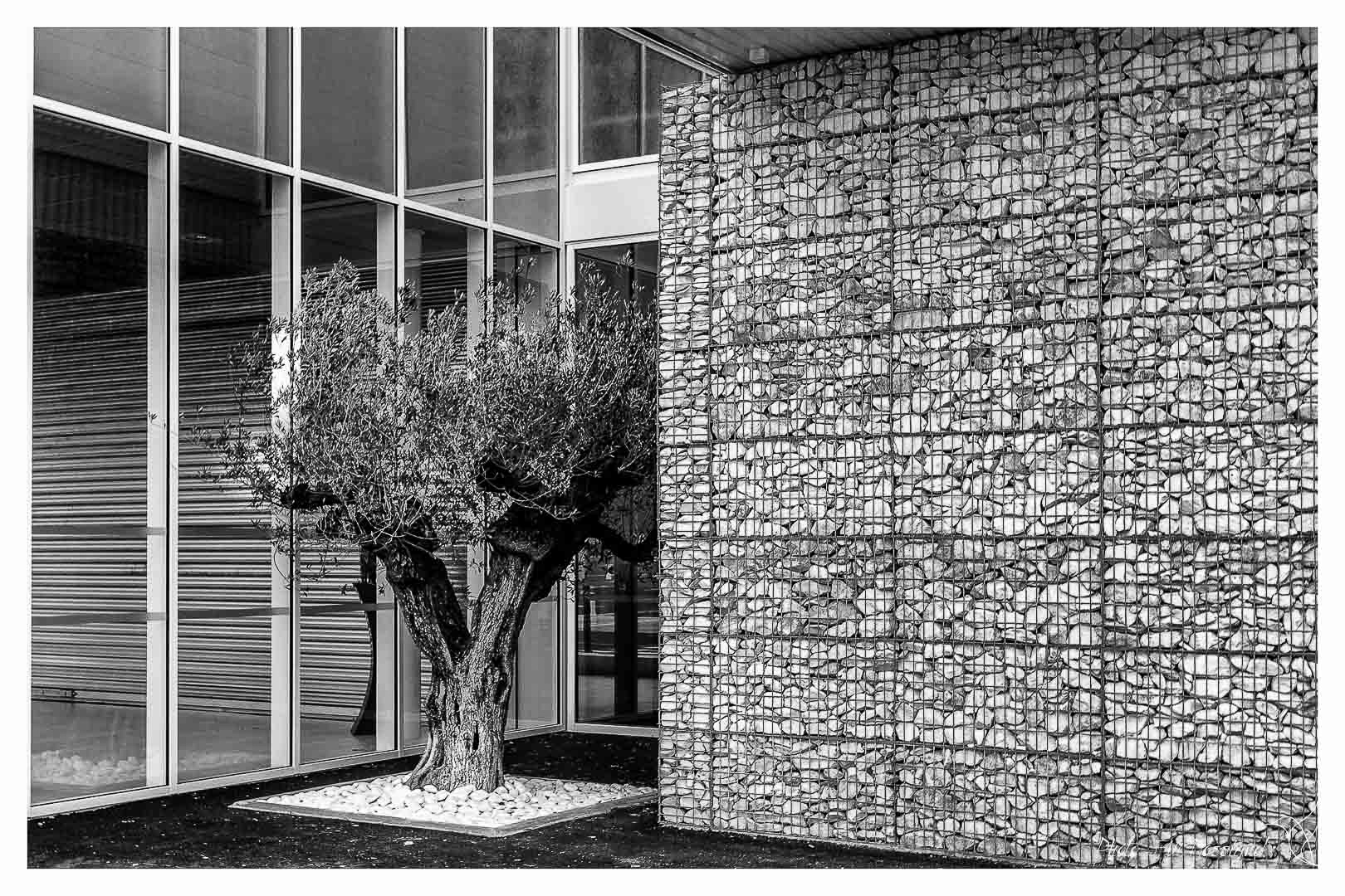 Façade d'un bâtiment commercial à Podensac