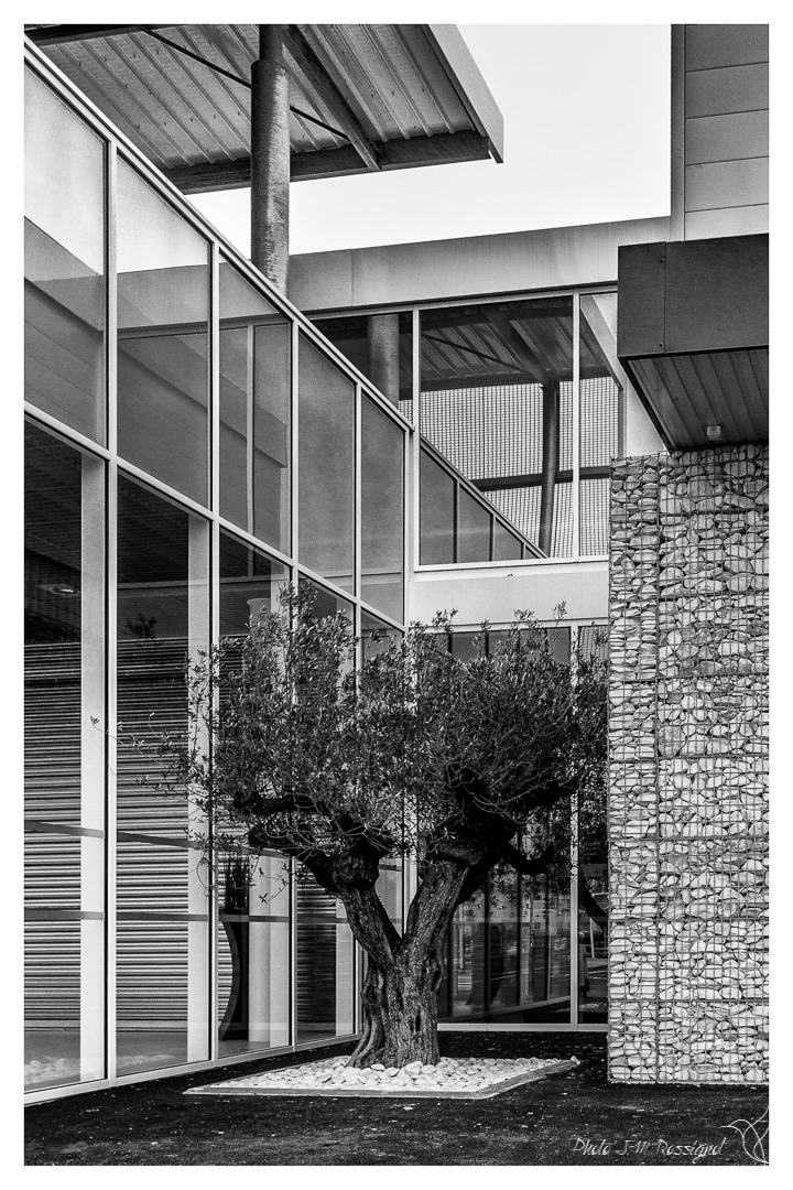 Façade d'un bâtiment commercial à Podensac